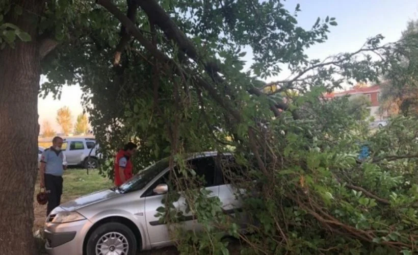 Şiddetli rüzgar sebebiyle kırılan dal otomobilin üstüne düştü