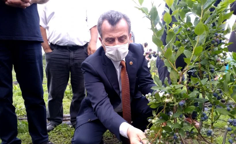 Toprak Büyükşehir'le bereketleniyor