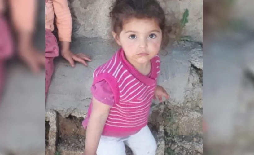 Van'da kaybolan 2 yaşındaki Melek'in cansız bedeni bulundu