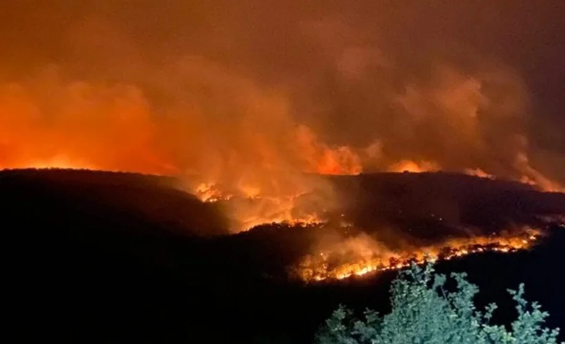 Bulgaristan'daki orman yangını, Türkiye sınırına ulaştı