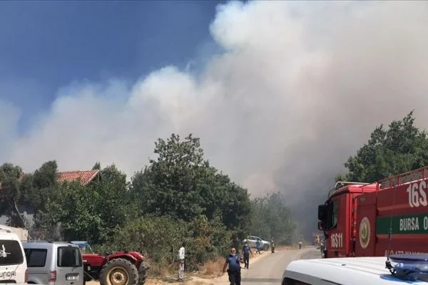 Bursa'da yerleşim bölgesi yakınında çıkan orman yangını kontrol altına alındı