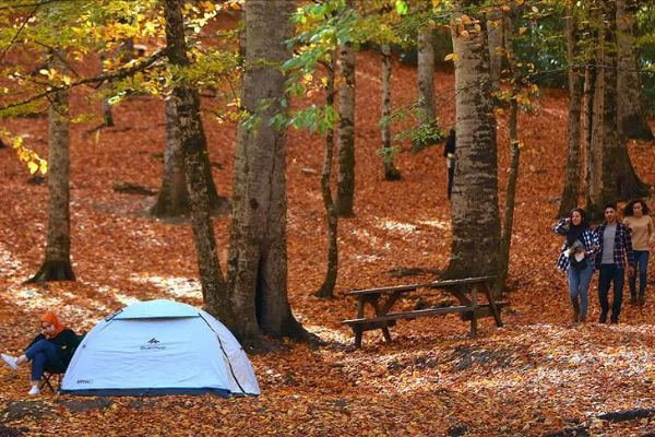 Ilgaz Dağı Milli Parkı'nda kamp alanları belirlenecek
