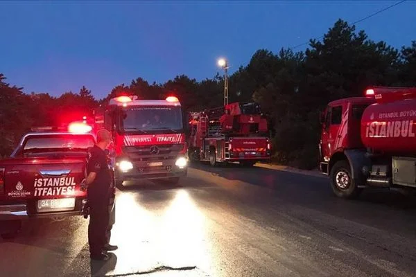 İstanbul'da orman yangını