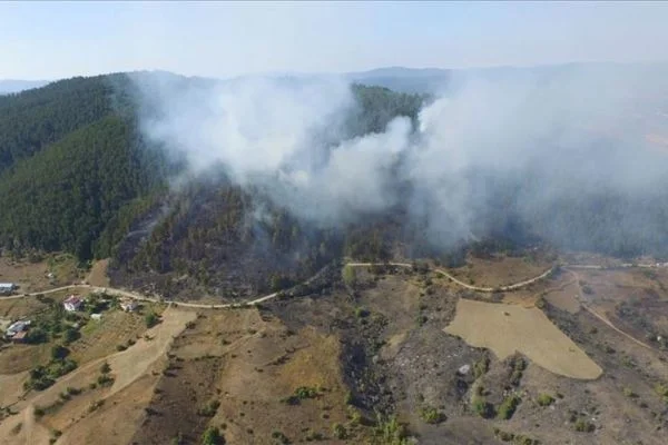 Kastamonu ve Sakarya'da çıkan orman yangınlarına müdahale ediliyor