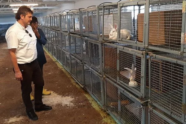 Kocaeli'de tavşan eti üretim çiftliği kuruldu