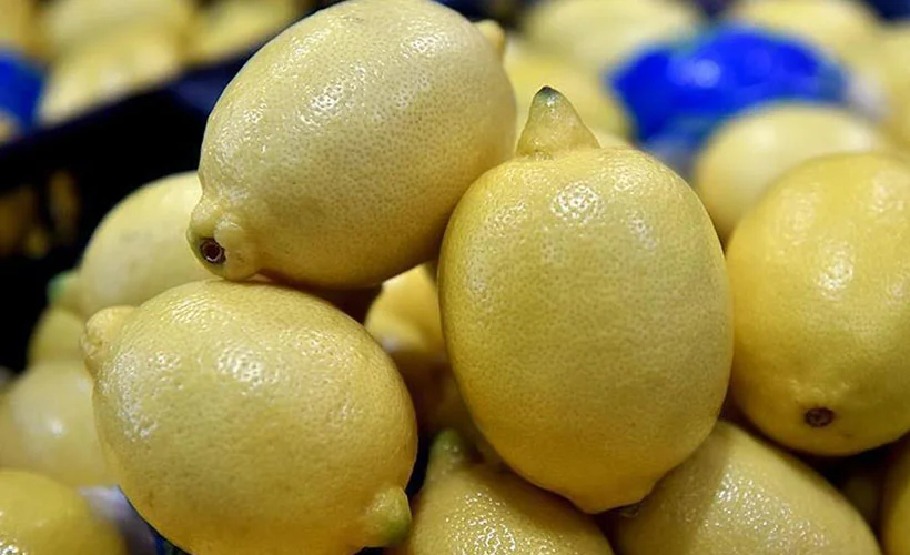 Limon ihracatında önemli karar