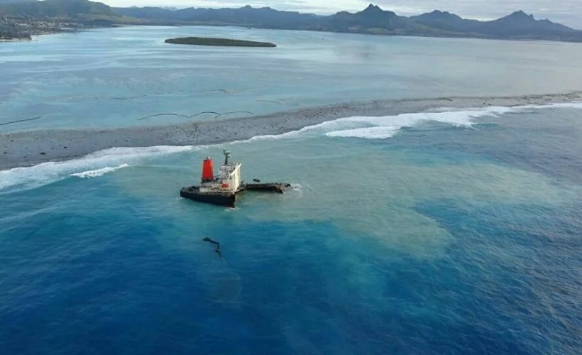Mauritius'taki çevre faciasının bilançosu artıyor: En az 13 yunus ölü bulundu