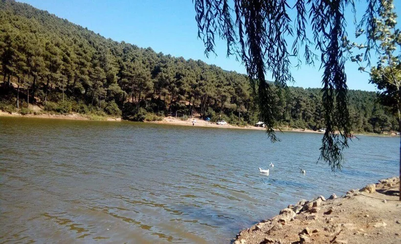 Piknik alanlarına sıkı denetim