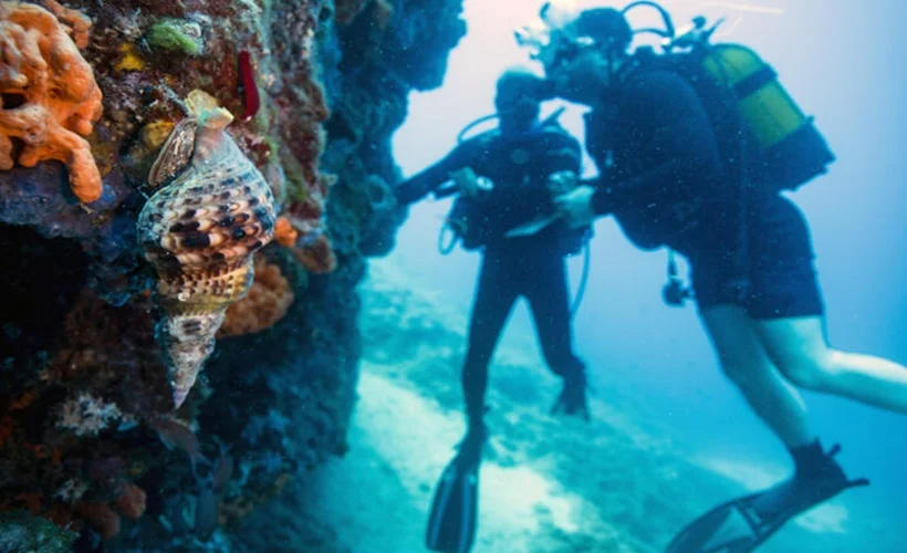 Karaburun'u 'DİP'ten görmelisiniz