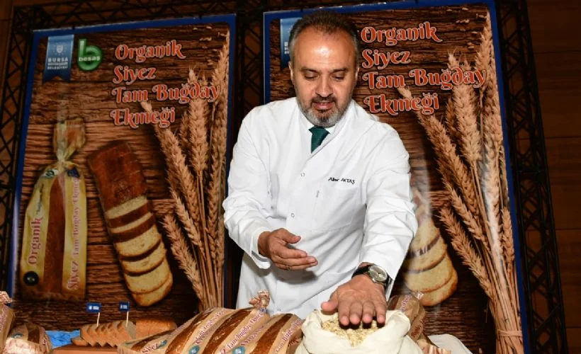 Buğdayın atası artık Bursa'da üretiliyor