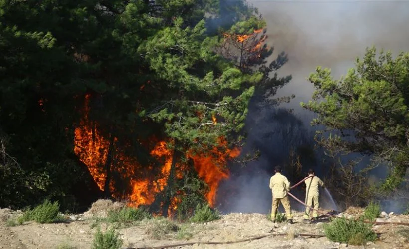 Hatay'daki orman yangınlarıyla ilgili 2 şüpheli tutuklandı