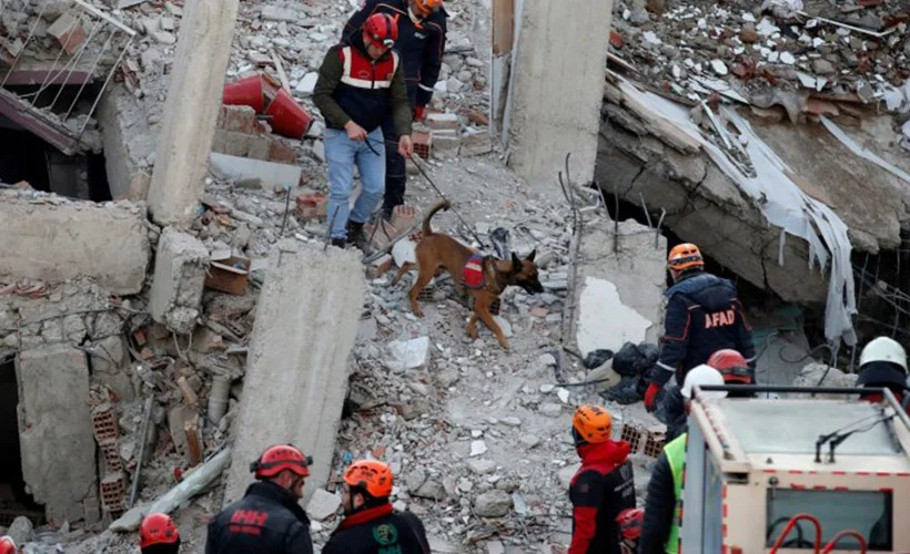 Hayat kurtaran köpekler, arama kurtarma ekiplerinin sağ kolu