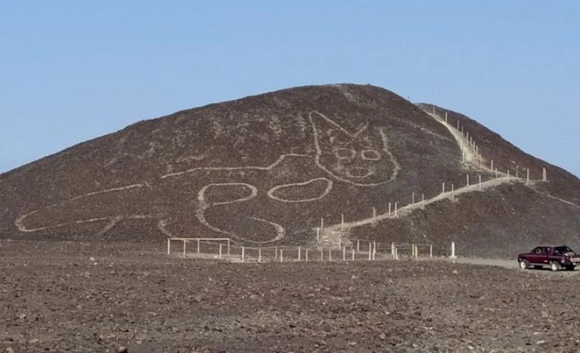 Peru'da çöle çizilmiş dev kedi figürü keşfedildi