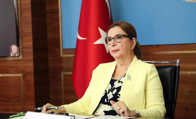 Ticaret Bakanı Pekcan, OECD Bakanlar Konseyi Toplantısına katıldı