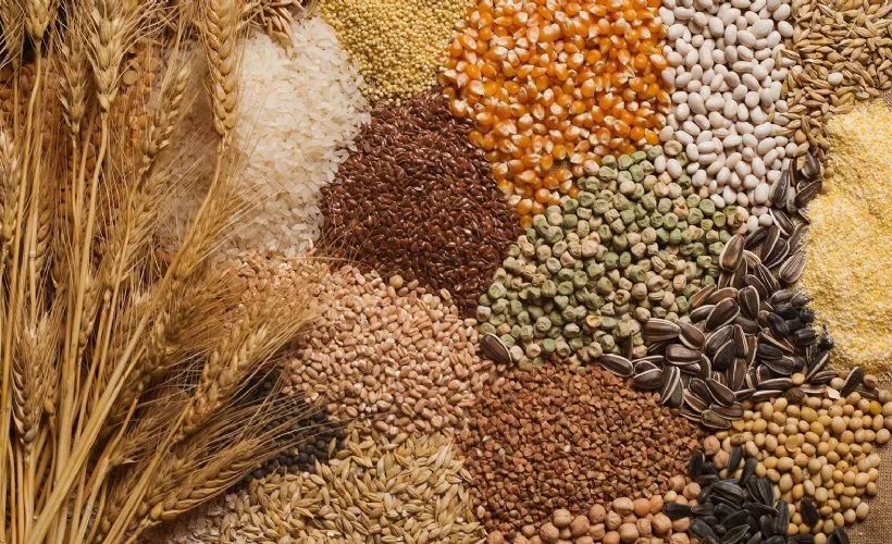 10 ayda 5.9 milyar dolarlık hububat ve bakliyat ihracatı