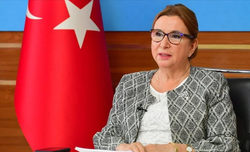 Bakan Pekcan: Pandemi sonrası küresel ekonomideki rolünü daha da güçlendirmiş bir Türkiye olarak yolumuza devam edeceğiz