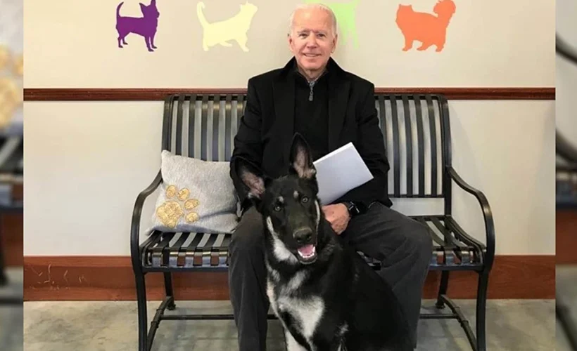 Biden köpeği ile oynarken ayağını incitti