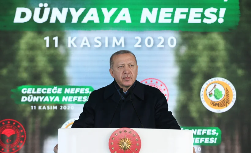 Erdoğan'dan ''Gezicilere'' tepki : Geçen sene diktiğimiz fidanlar filiz veriyor