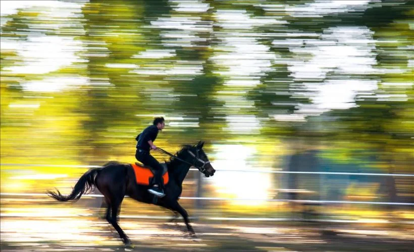 Haftanın Fotoğrafları