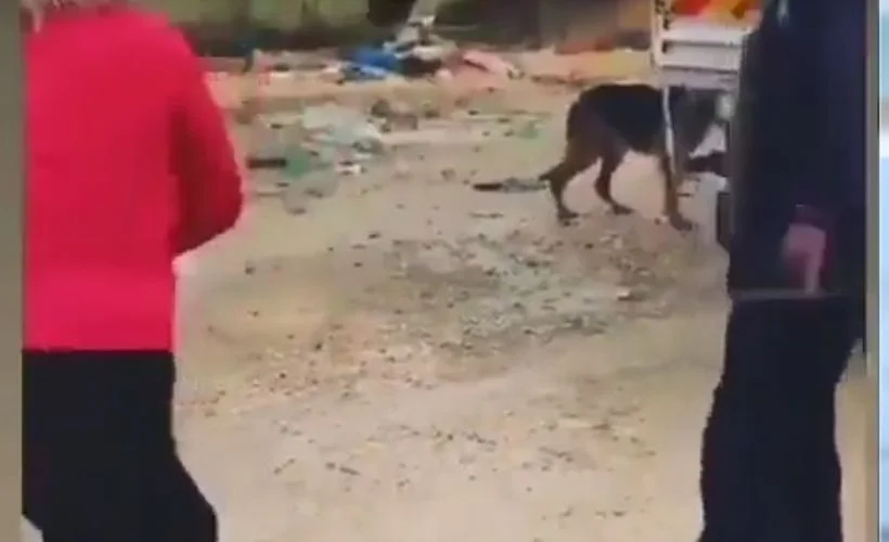 Hayvansever kadın mama kaplarını almaya çalışan adamı şaşkına dönderdi