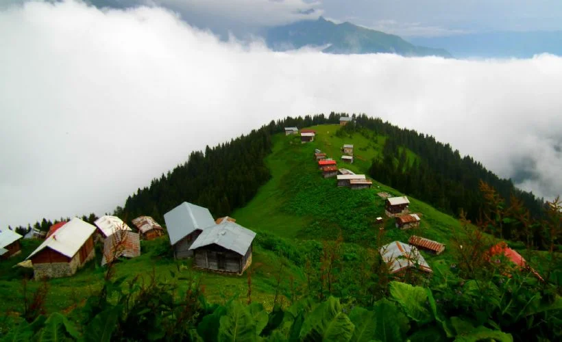 Karadeniz Yaylaları'na yolculuk: Pokut Yaylası ve Sal Yaylası