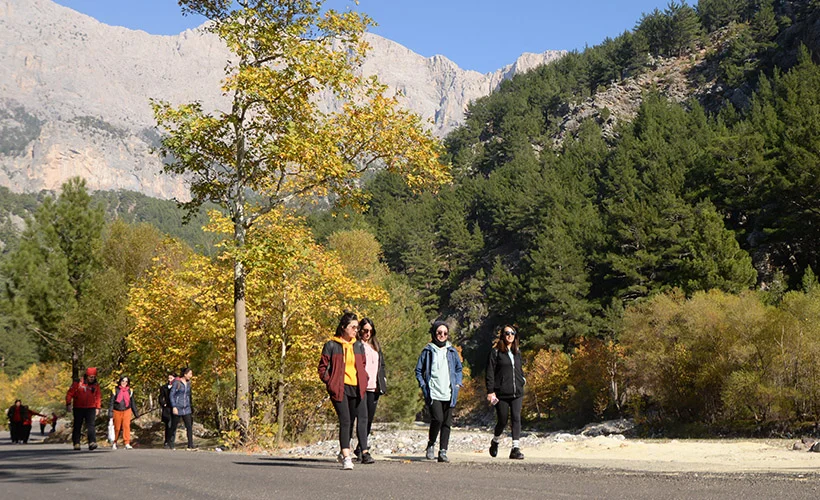 Koronavirüs, doğaya ilgiyi artırdı