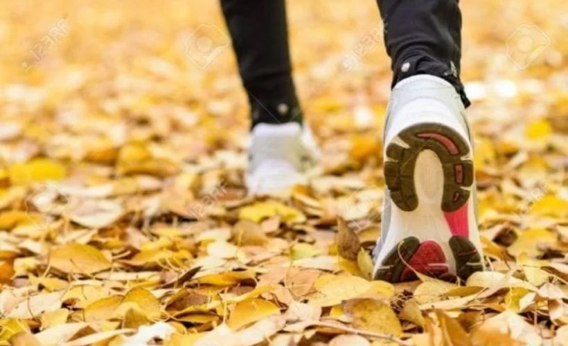 Sonbaharda yapılabilecek aktiviteler