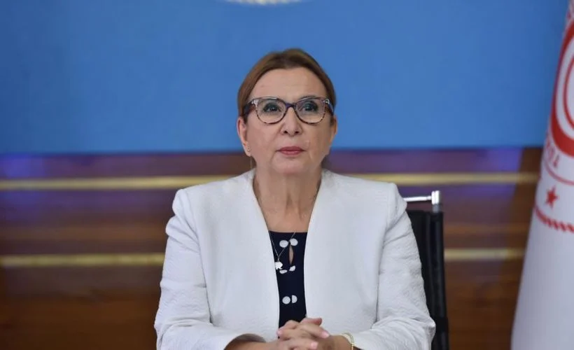 Bakan Pekcan: Yıl sonunda hedeflerimize ulaşacağız