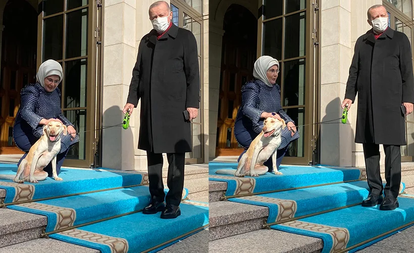 Erdoğan'ı mesaiye 'Leblebi' uğurladı