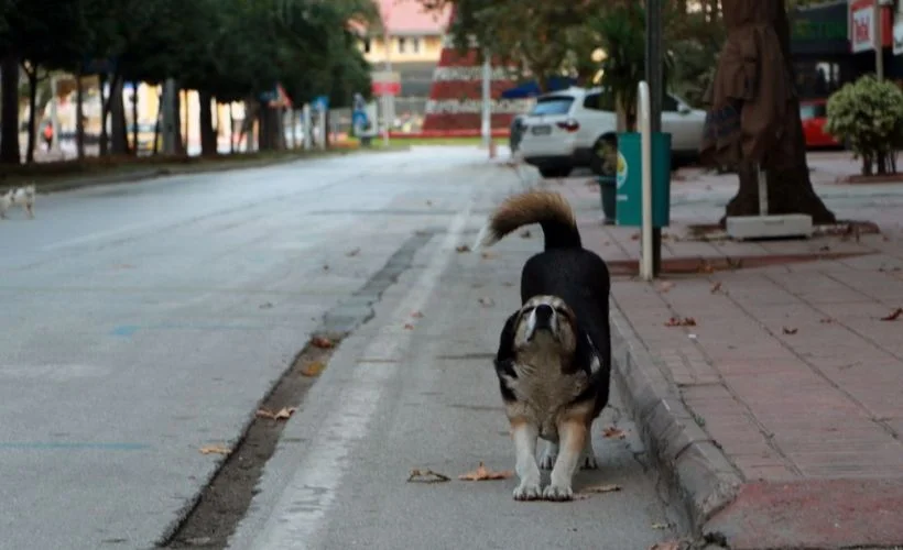 İstanbul'da sessiz Cumartesi
