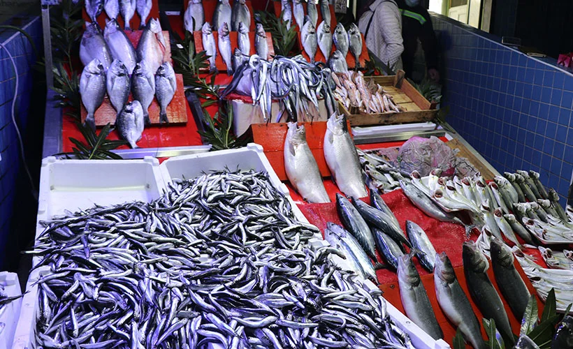 Karadeniz'de 'hamsi' ve 'sarıkanat' bolluğu