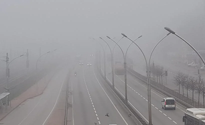 Kocaeli ve Sakarya'da sis etkili oluyor
