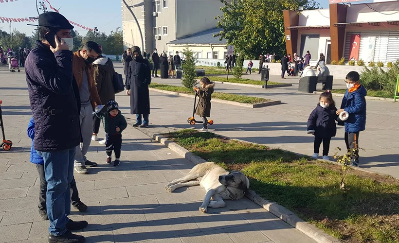 Siirt'in Kurtalan ilçesinde deprem