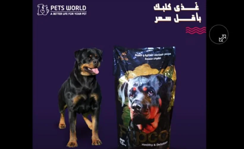 Sisi'den Mısır ordusuna köpek maması üretimi talimatı