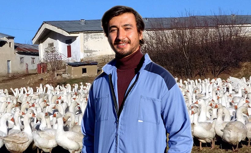 Siyasal mezunu, kaz yetiştiricisi oldu