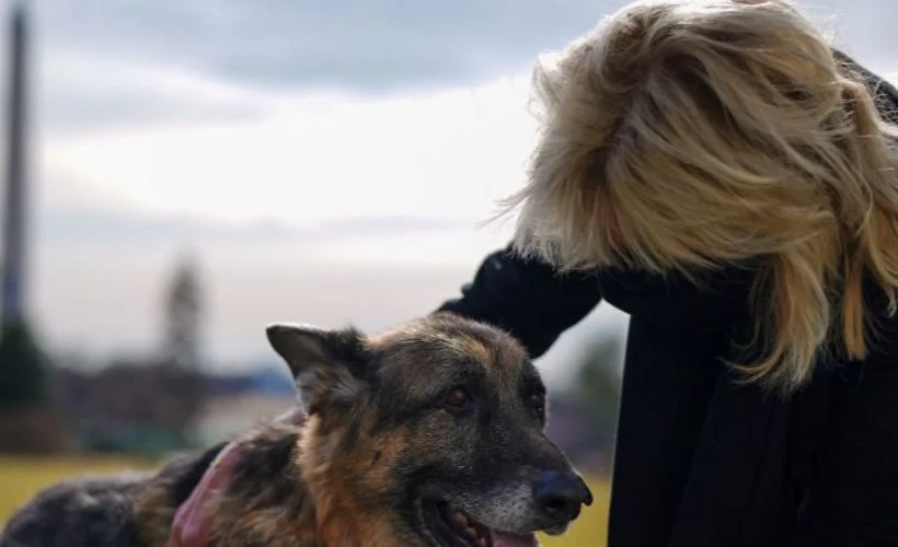 Biden köpeklerini de Beyaz Saray'a getirdi