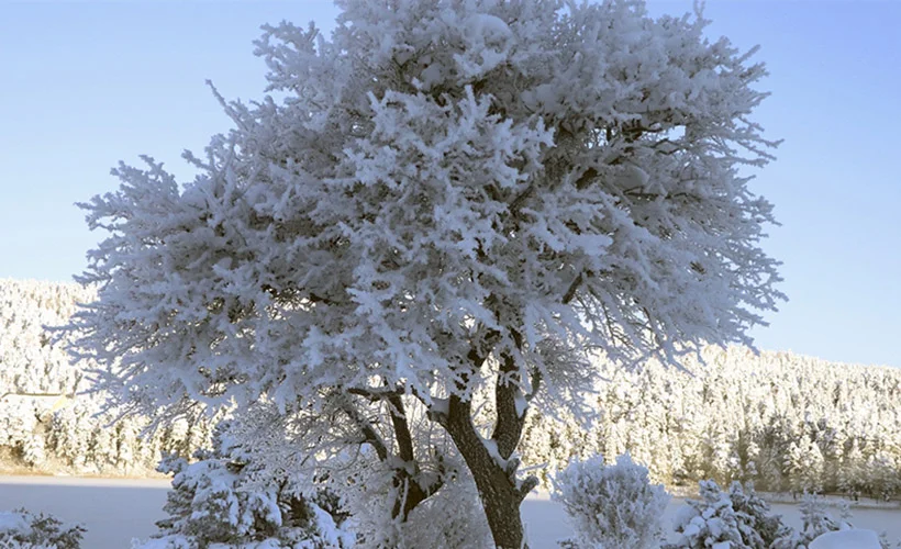Bolu bu gece Türkiye'nin en soğuk ili oldu