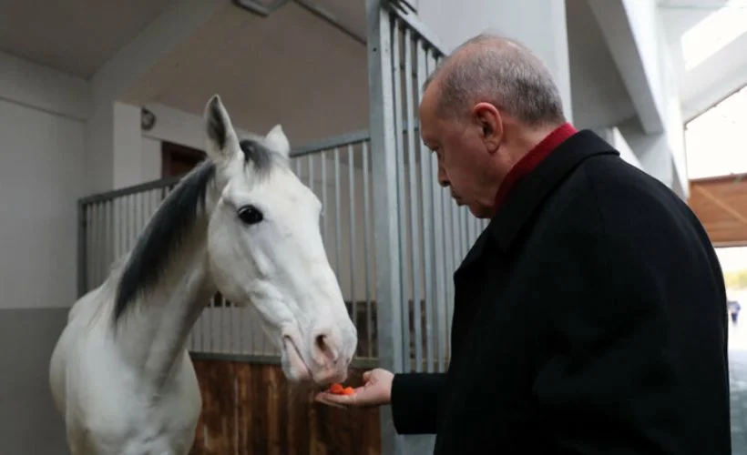 Cumhurbaşkanı Erdoğan Geleneksel Sporlar Tesisi açılışına katıldı