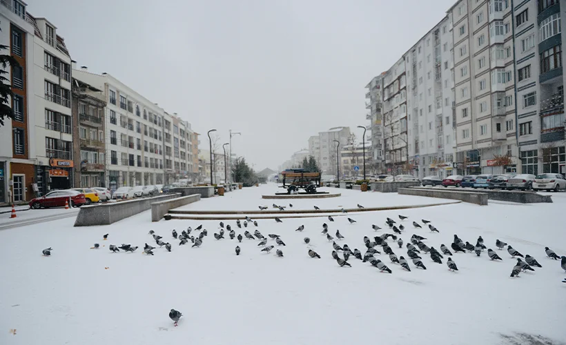 Eskişehir'de kar yağışı etkili oldu
