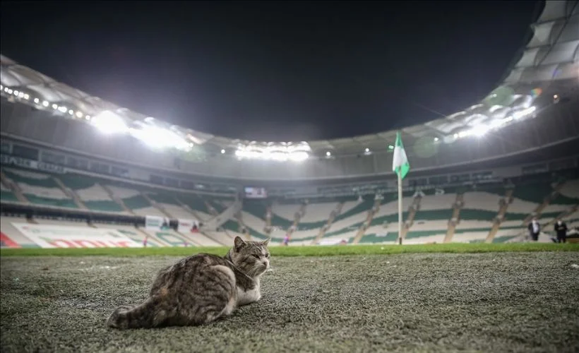 HAFTANIN FOTOĞRAFLARI