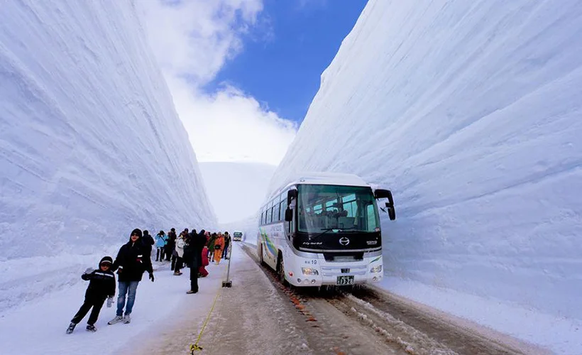 Japonya'da beyaz ölüm!