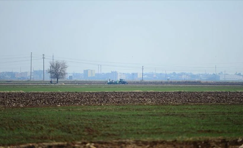 Kuraklık endişesi yaşayan Diyarbakır ve Mardinli çiftçinin yüzü son yağışlarla güldü