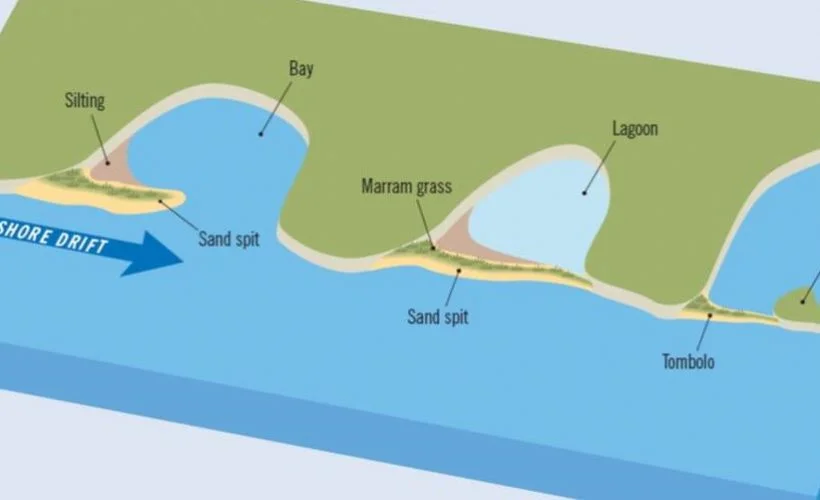 Lagün nedir? Lagün nasıl oluşur?