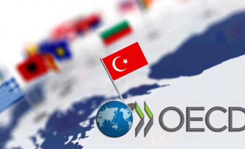 OECD direktörü Pereira: Yapısal reformlar Türkiye'nin toparlanmasını destekleyecek