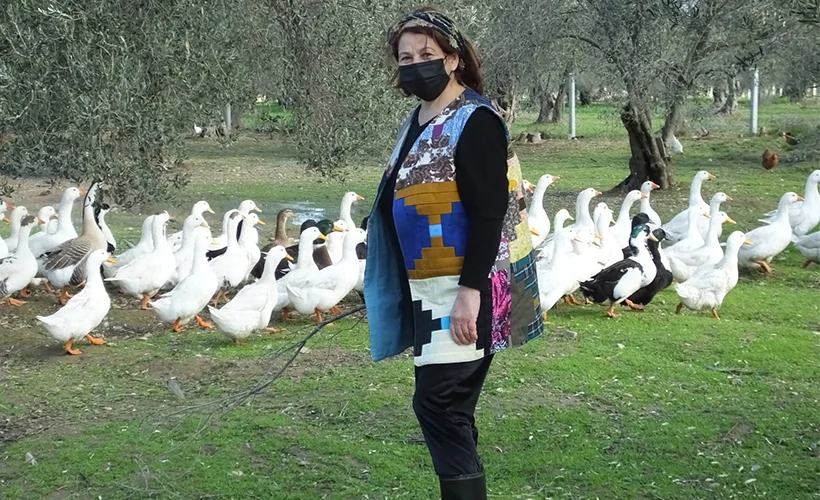Organik yumurta için yola çıktılar, çiftlik sahibi oldular