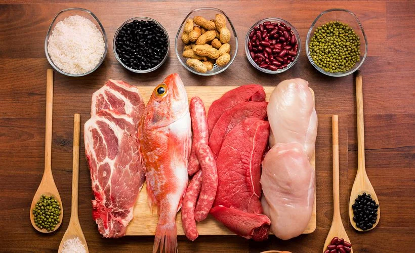Proteinlerin genel özellikleri nelerdir? Protein neden gereklidir?