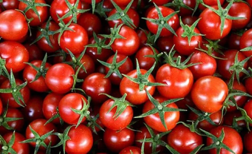 Rusya, Türkiye'den aldığı domates kotasını artırdı