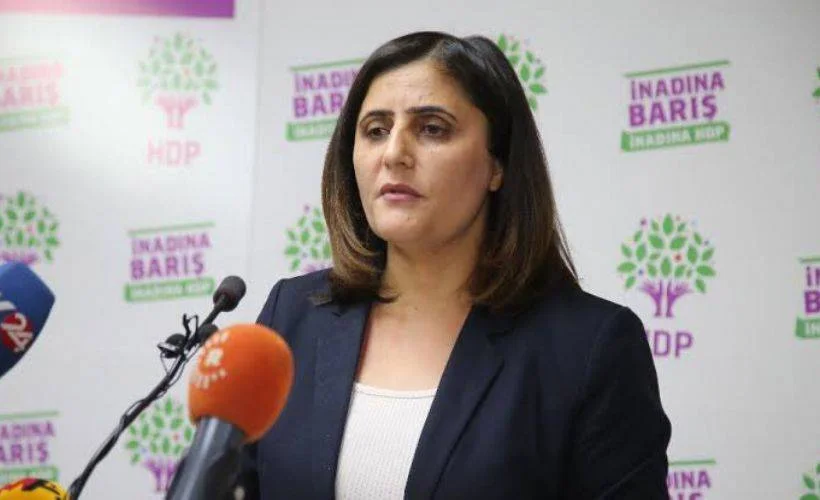 Bakan Soylu, Gara'ya giden HDP'li vekilin Dirayet Dilan Taşdemir olduğunu açıkladı