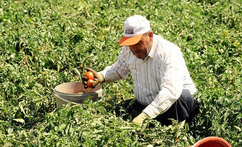 Çiftçi destek ödemesi başladı mı? 2021 çiftçilere destek ödemesi ne zaman yatacak?