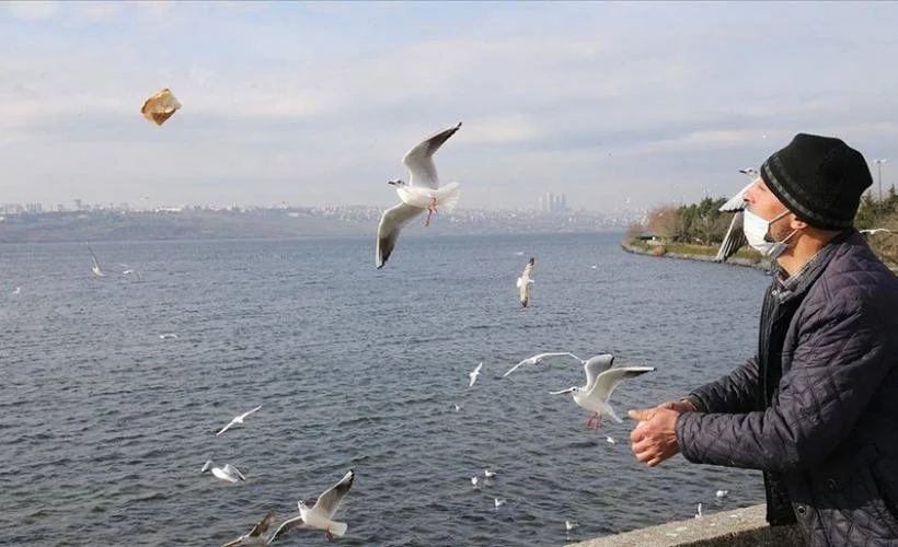 Çöpten topladığı ekmeklerle her gün kuşları besliyor